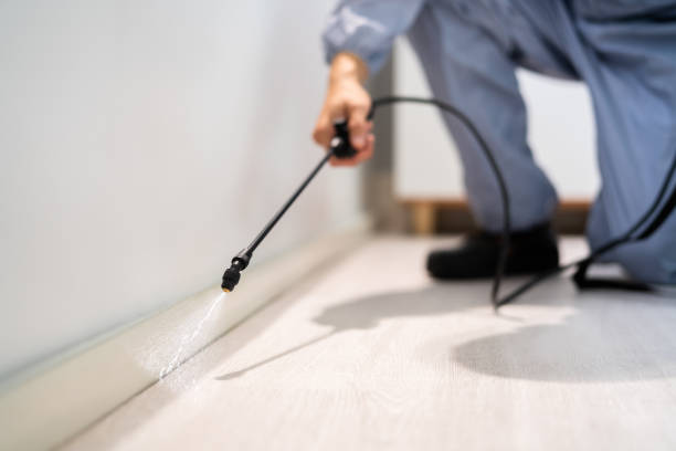Licensed Pest Control service in Edgemont Park, MI - Show Me Pest Control
